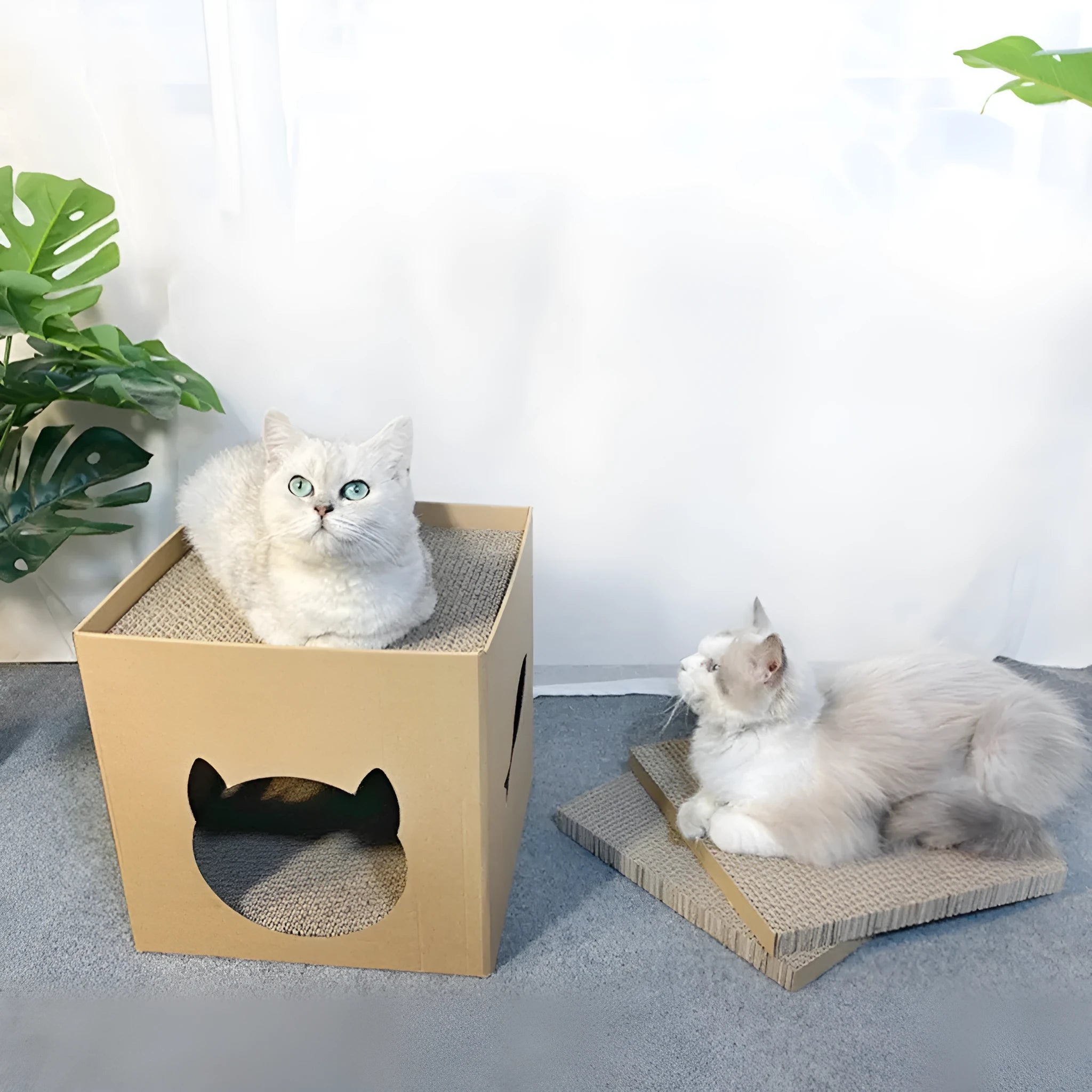 Vertical corrugated paper cat scratch board measuring 30x30cm in pet milk carton colour