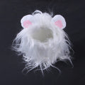 Black lion mane wig hat accessory on a cat's head with adjustable elastic strap