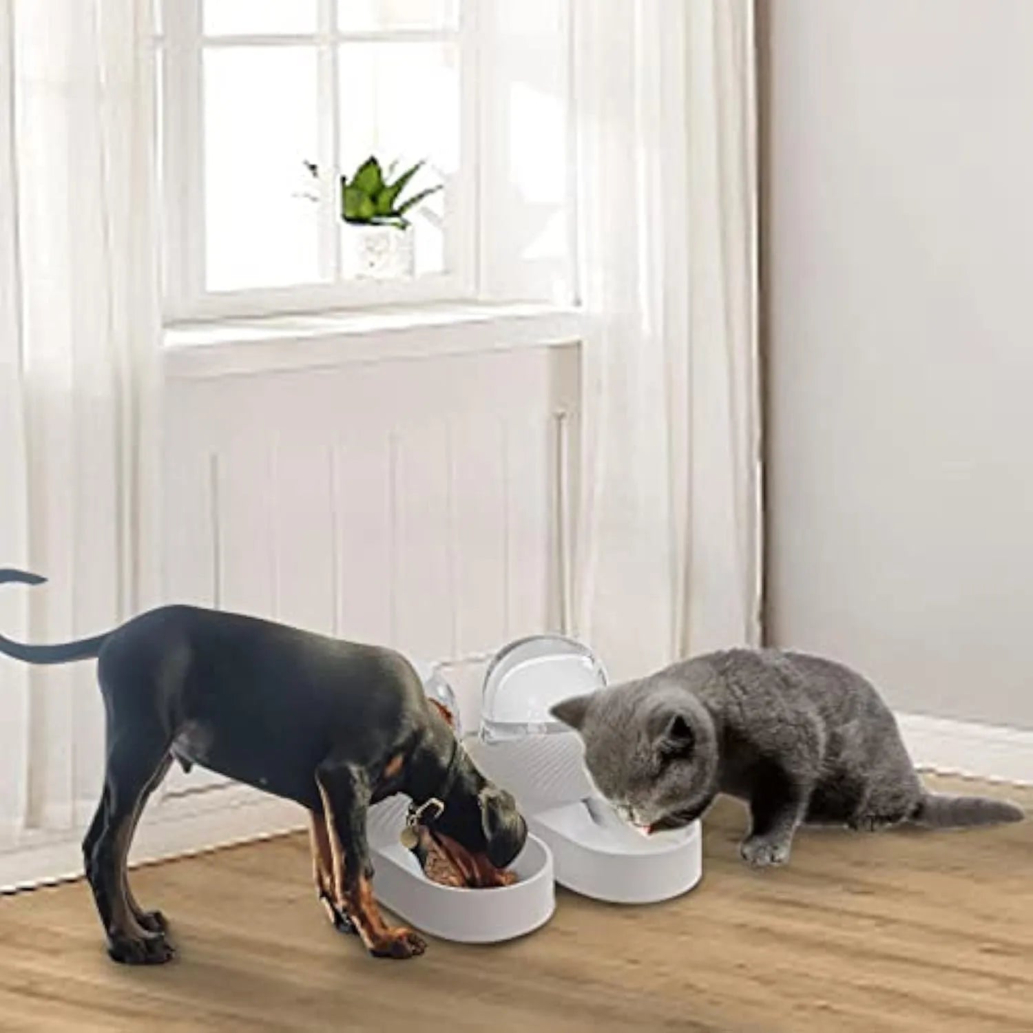 White gravity-fed cat feeder and water dispenser set with wave-shaped design on a table.