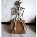 170cm tall plastic skeleton prop with articulated joints and detachable skull displayed in anatomical position