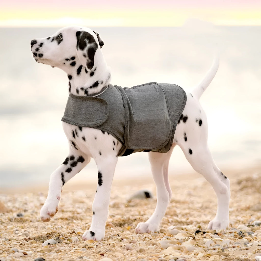 Heather grey dog anxiety vest shown on a model, illustrating its jacket style and fit.