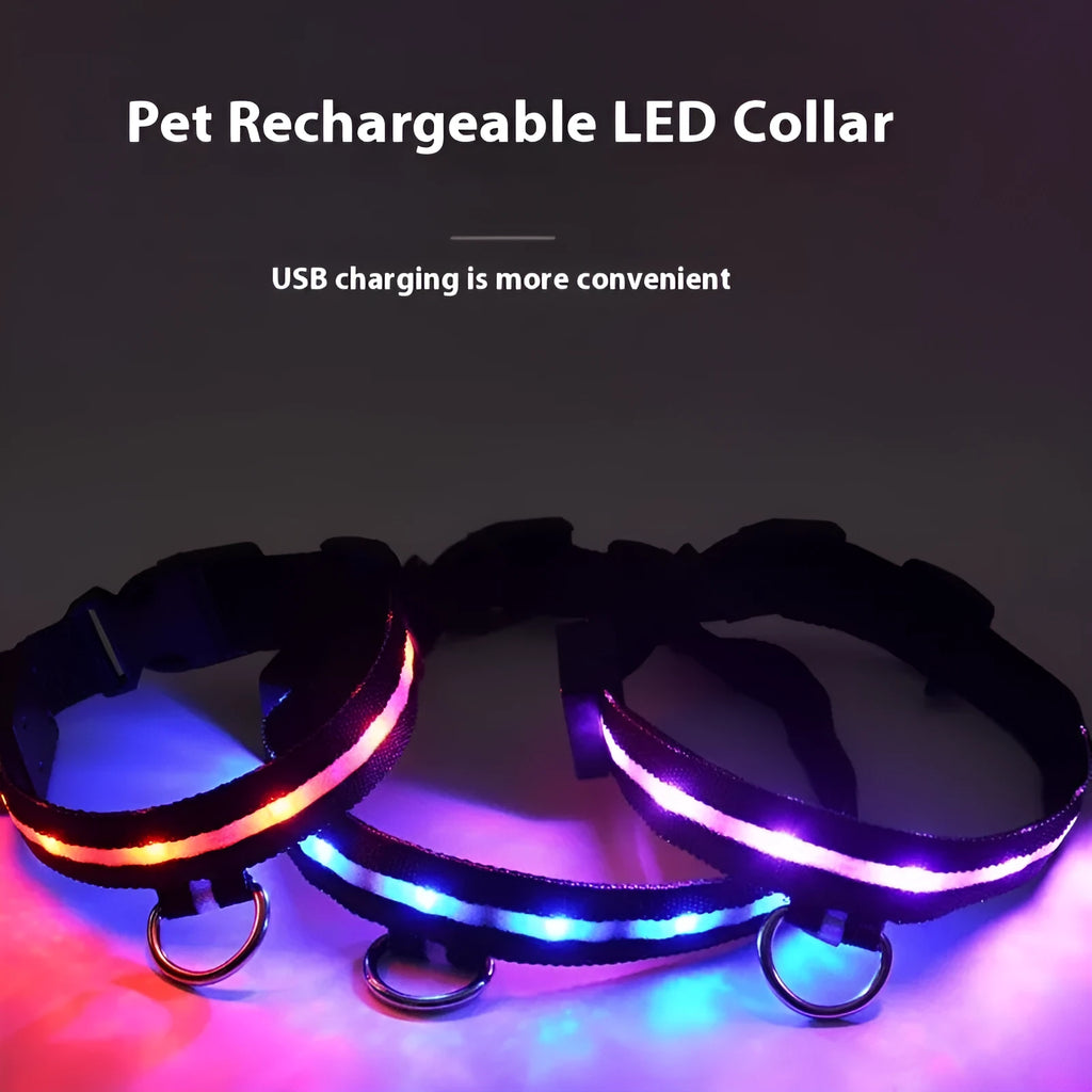 Black LED luminous dog collar with cartoon design and attached hand rope for nighttime walking safety