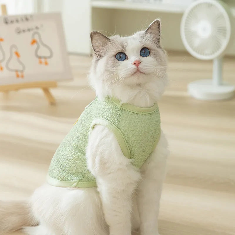Breathable hollowed-out cat clothes with a cartoon bear patch in blue.