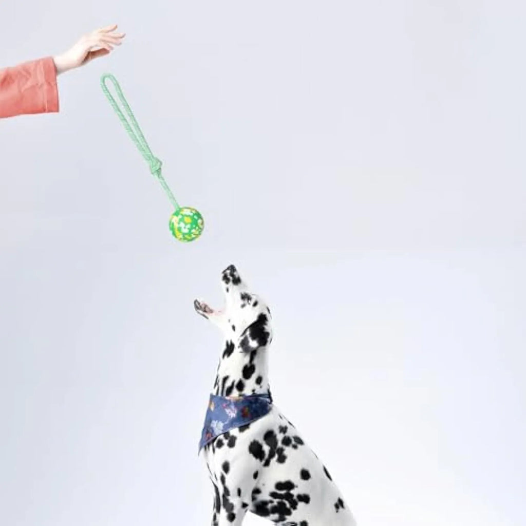 Dog toy featuring a natural rubber ball attached to a nylon rope for fetch and tug games.