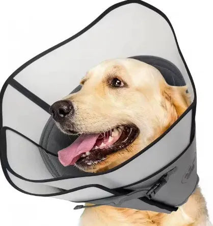 Adjustable polyester pet sterilization collar ring in a casual style, shown in sizes L, M, and XL.