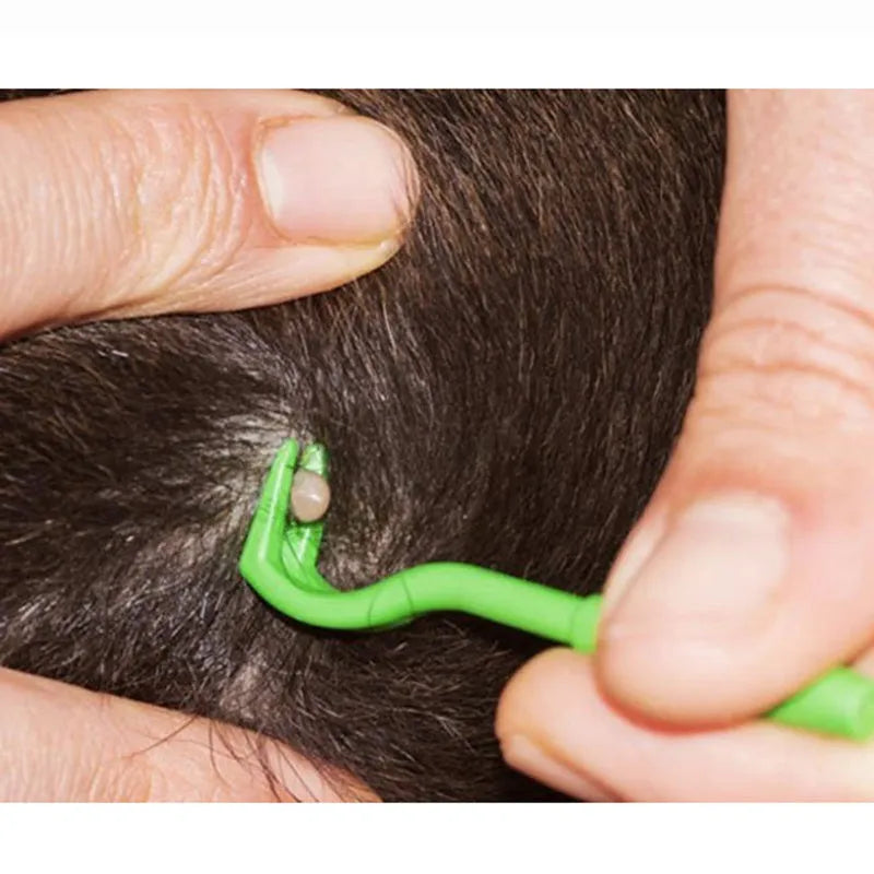 Three blue plastic pet tick removal clips with hook ends on a white background.