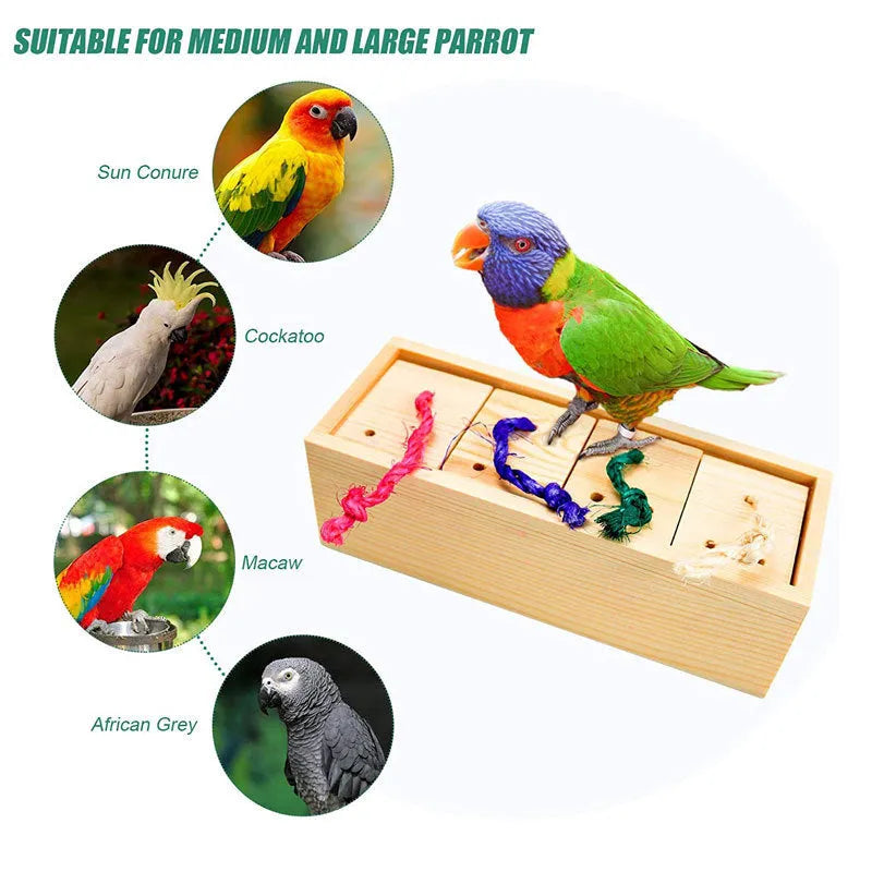 Wooden puzzle training toy for birds with multiple pieces for foraging enrichment