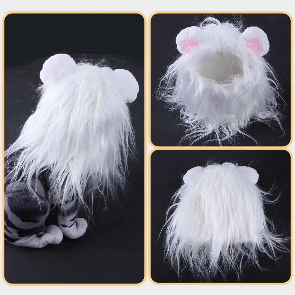 Black lion mane wig hat accessory on a cat's head with adjustable elastic strap