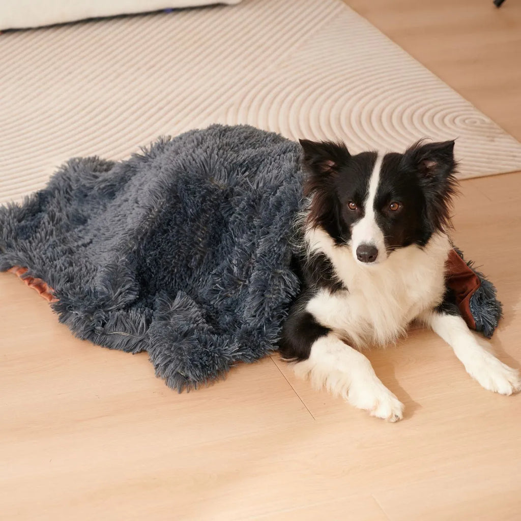 Grey velvet and plush pet blanket on a sofa, showing its size and texture.