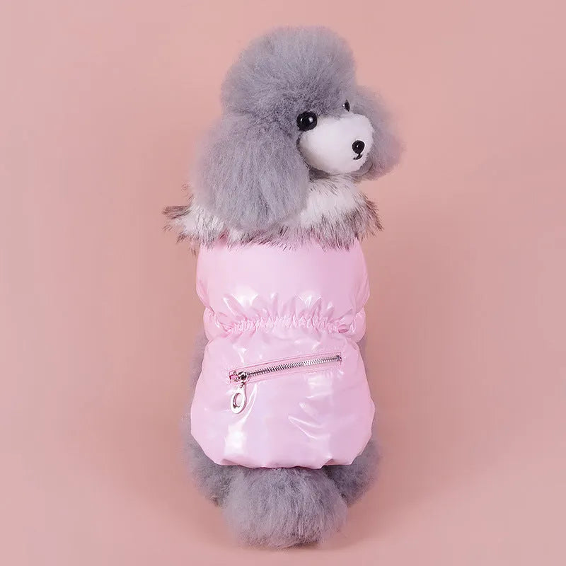 Blue British-style cotton puppy jacket for winter warmth on small dog