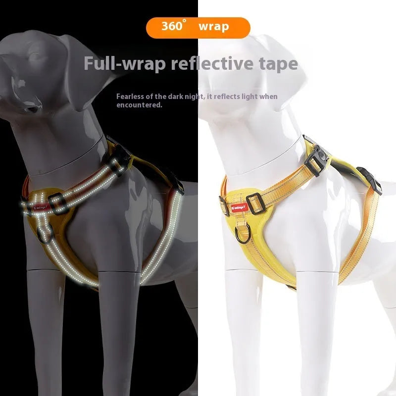 Polyester dog chest harness and lead set shown in multiple colours including lake blue, on a size chart from XS to XL.