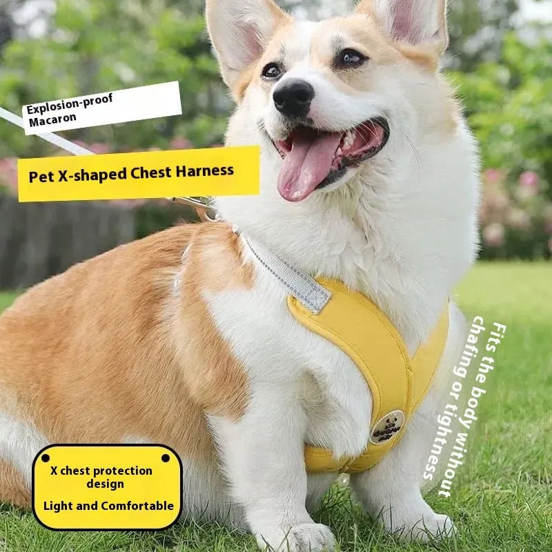 Polyester dog vest and rope lead set in blue, green, pink, or yellow colours with adjustable sizing
