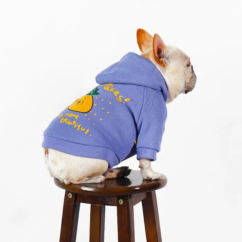 Blue and purple cartoon print cotton plush hoodie for dogs in various sizes
