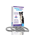 Four identical TPR dog collars in different colours on a white background.