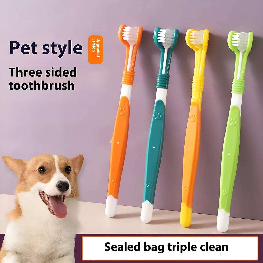 Pet toothbrush with nylon bristles and plastic handle in multiple colour options