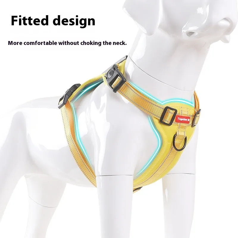 Polyester dog chest harness and lead set shown in multiple colours including lake blue, on a size chart from XS to XL.
