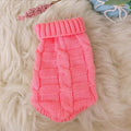 Cat wearing a knitted sweater in a bright colour, showing the pullover style for autumn winter pet clothing