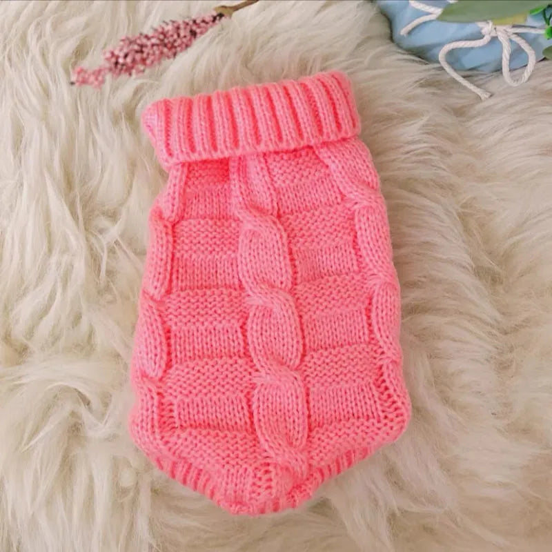 Cat wearing a knitted sweater in a bright colour, showing the pullover style for autumn winter pet clothing