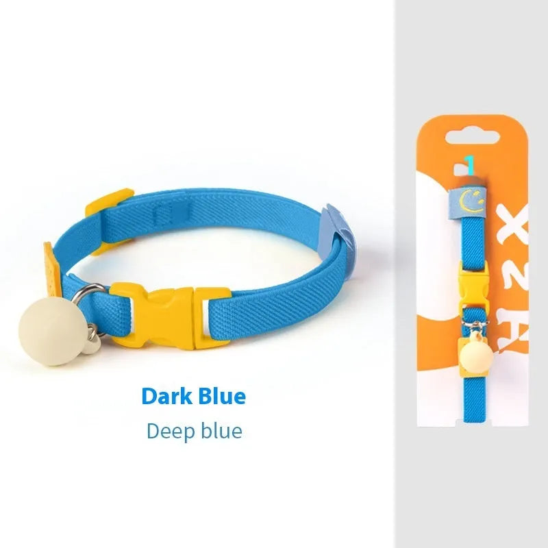 Small dog wearing a high elasticity polyester pet collar in a choice of seven solid colours.