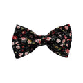 Four-piece pet accessory set showing dog collar, matching leash, decorative bow, and dog vest with cute printed lettering