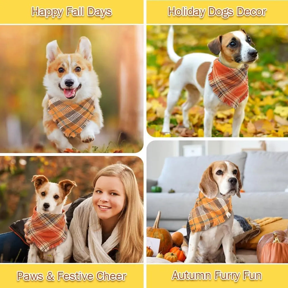 Plaid triangle dog bandana with tassels in autumn colours on a dog's neck.