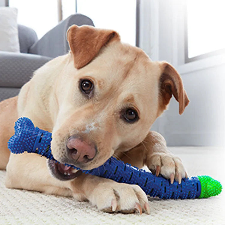 Blue-green silicone dog dental cleaning stick with serrated brush head and food crevice, 25cm long
