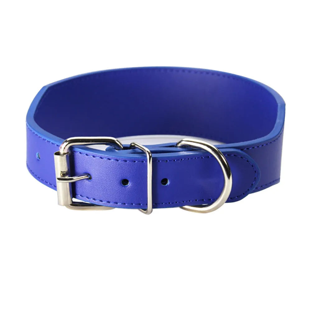 Large dog leather collar with fish-shaped buckle in assorted colours on a white background.
