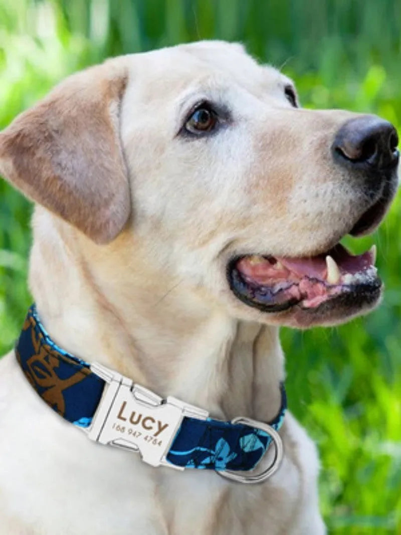 Nylon dog collar with quick-release buckle in black, green, and rose red colours showing S, M, L size options