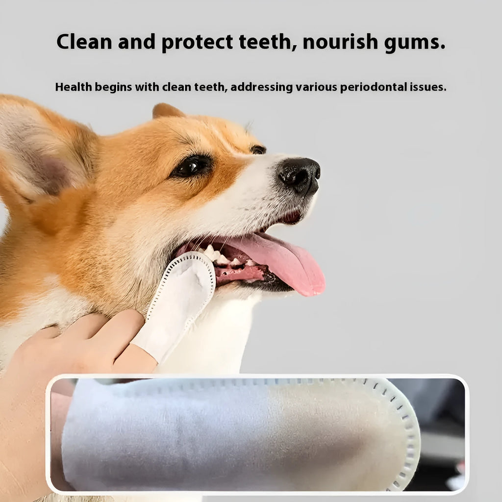 Pack of 50 white non-woven finger stalls for cleaning cat and dog teeth.