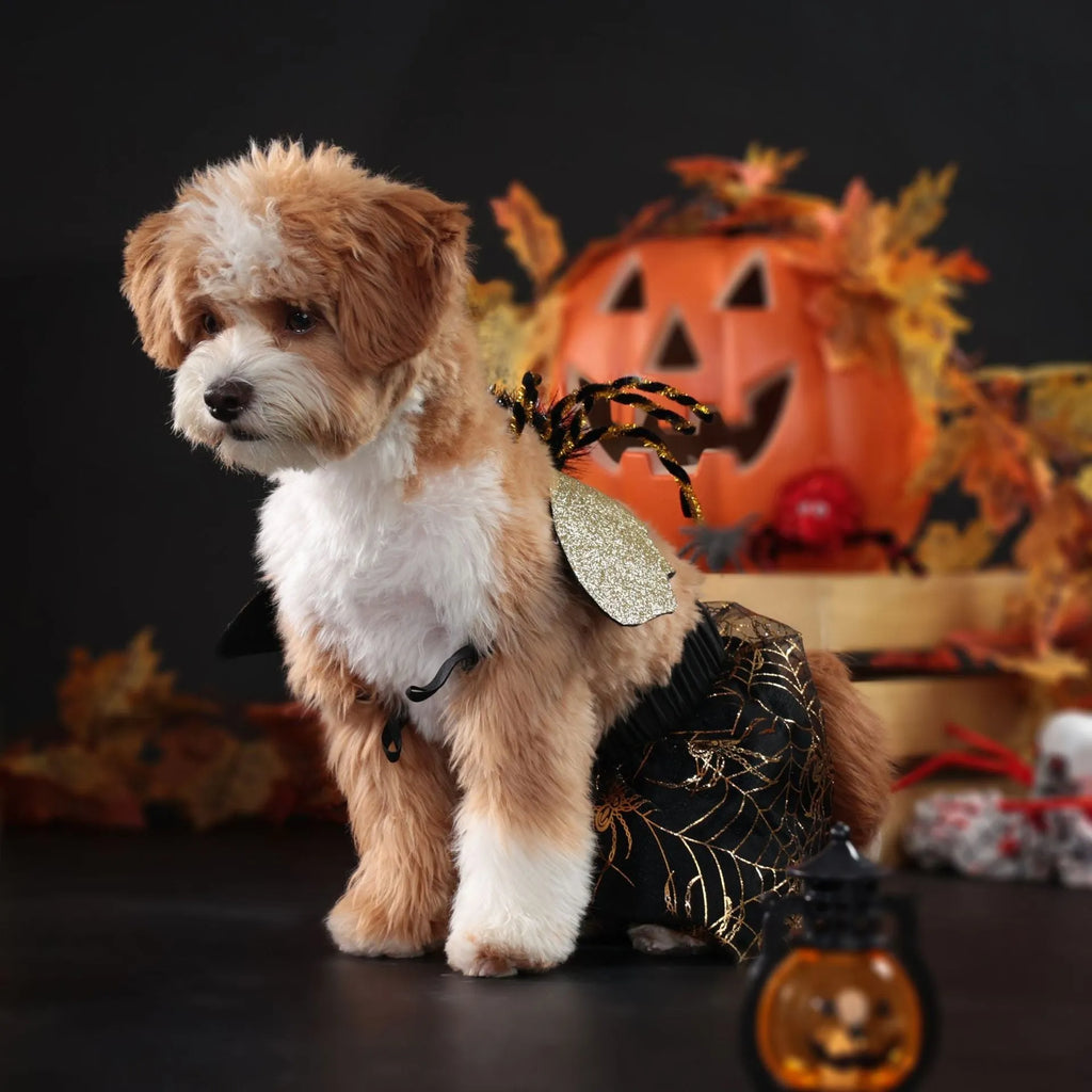 Polyester dog Halloween costume suit in suit colour available in small medium large XL sizes