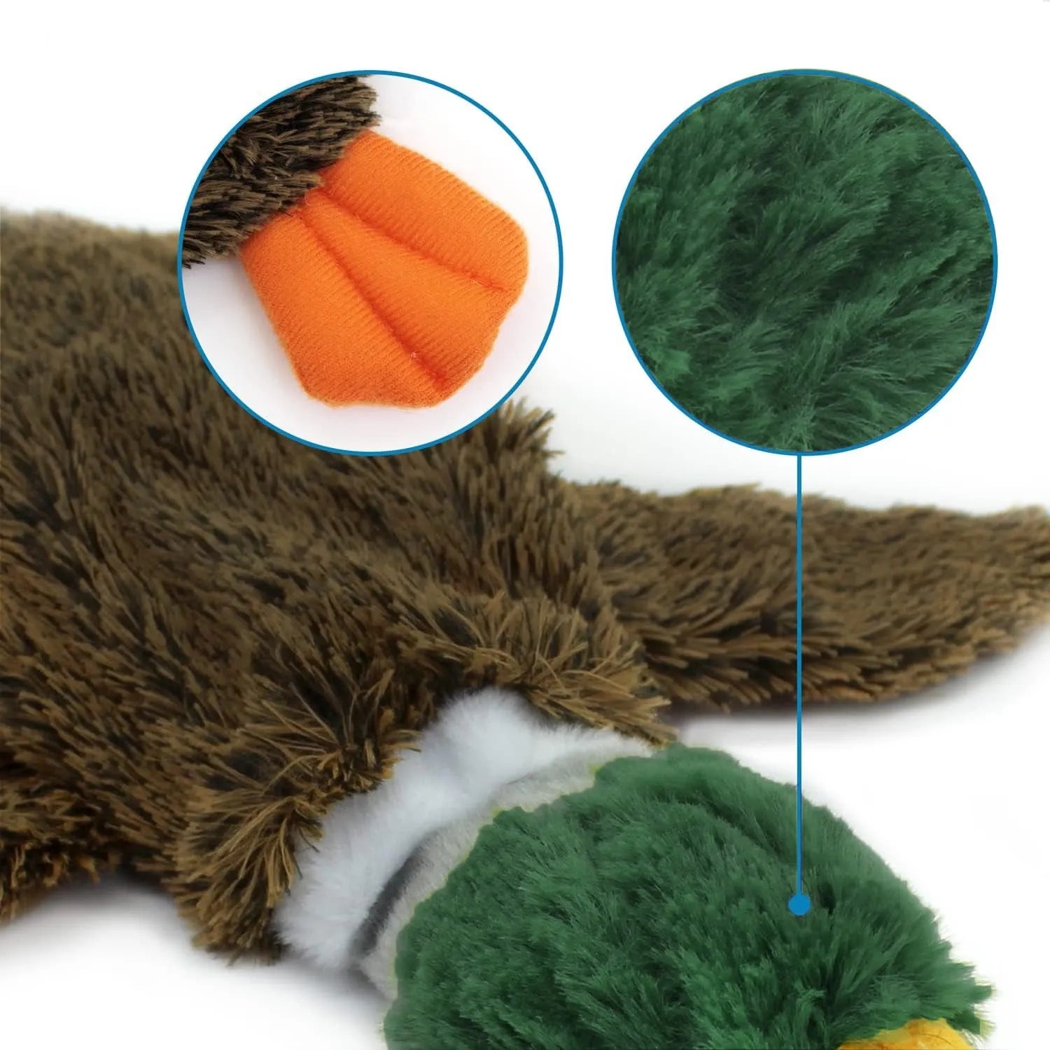 Green wild duck stuffless squeaky dog toy with soft plush fabric