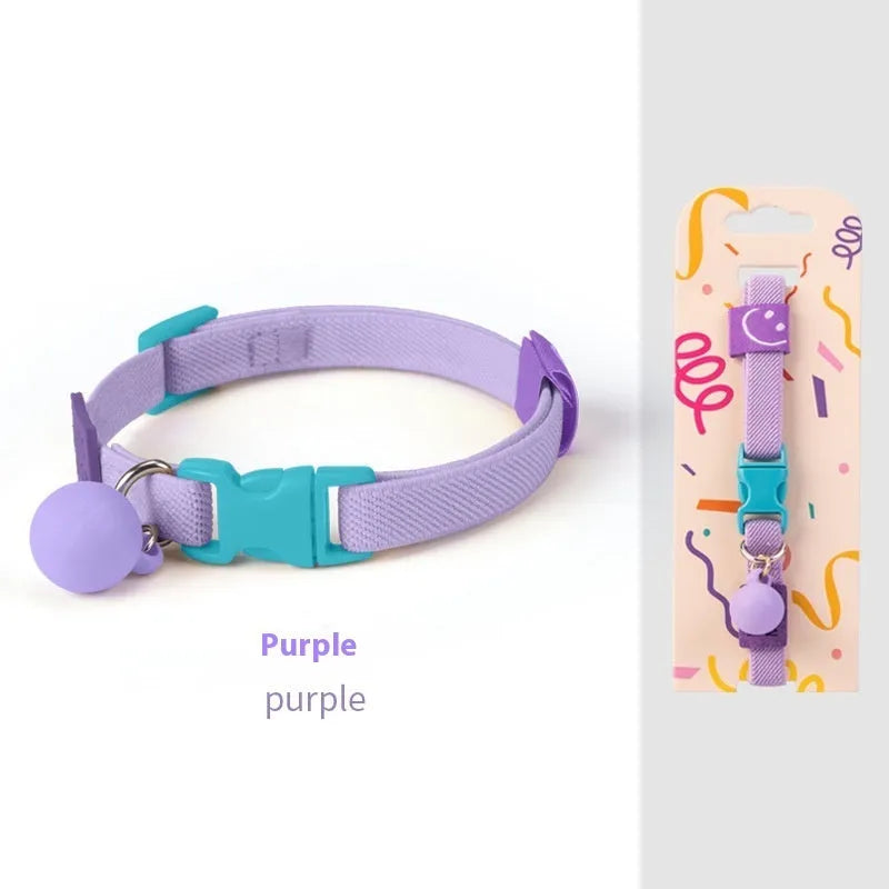 Small dog wearing a high elasticity polyester pet collar in a choice of seven solid colours.