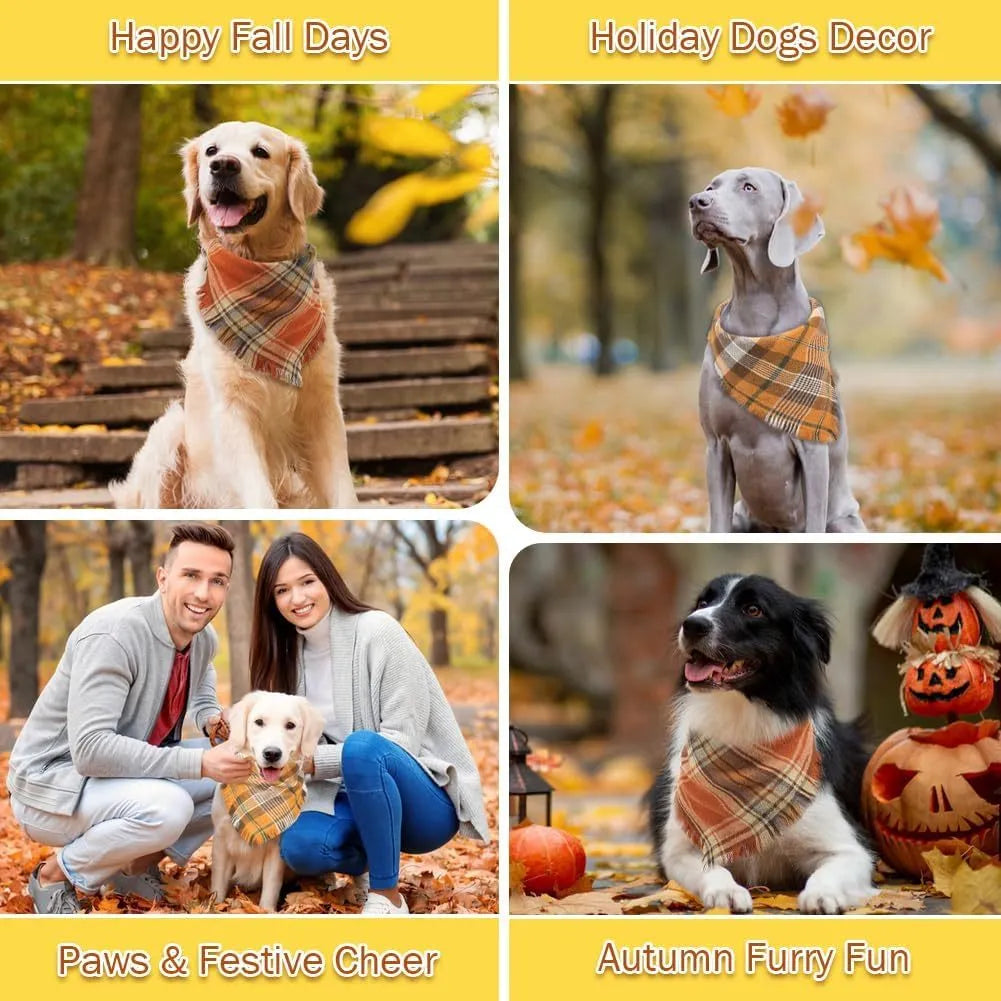 Plaid triangle dog bandana with tassels in autumn colours on a dog's neck.