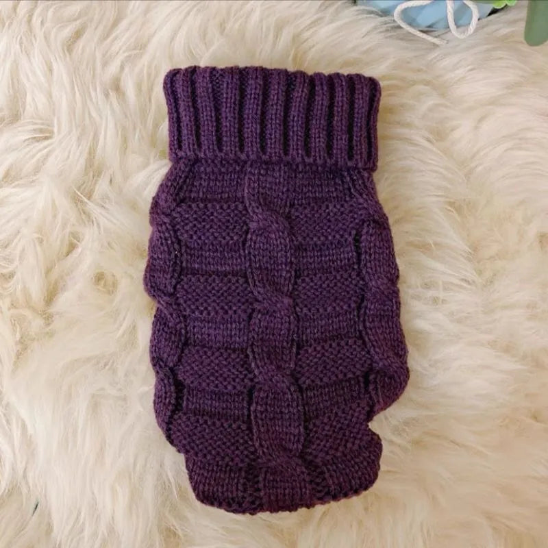Cat wearing a knitted sweater in a bright colour, showing the pullover style for autumn winter pet clothing