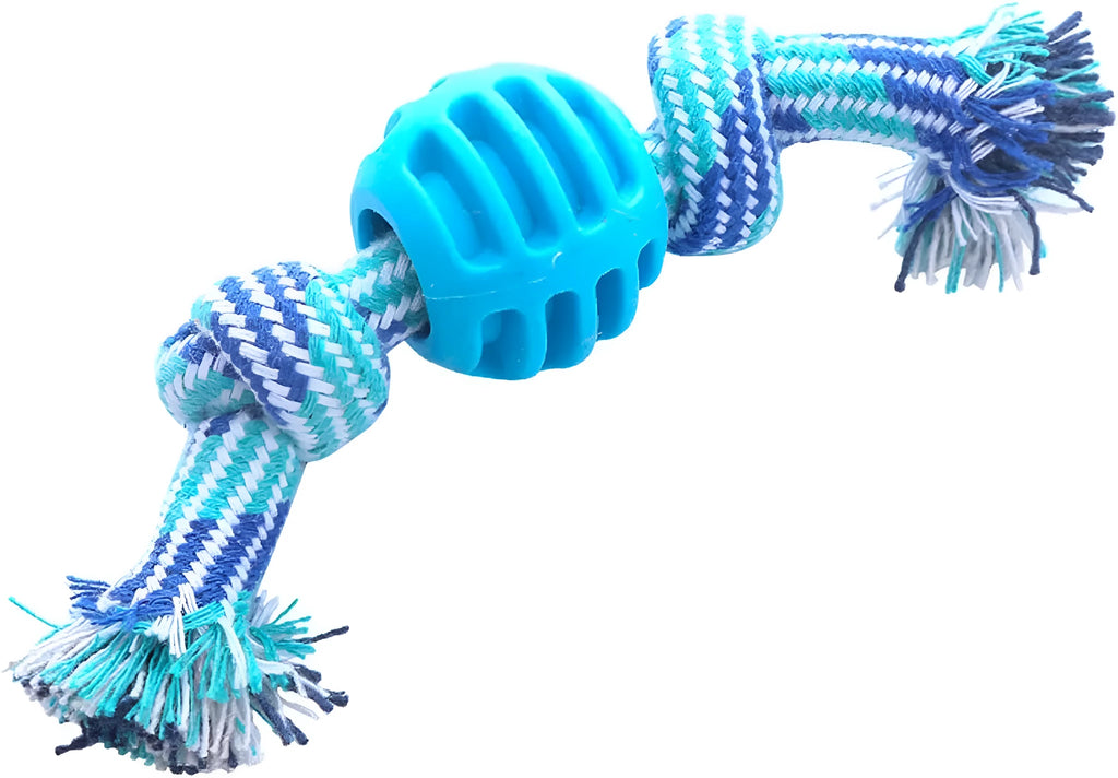 Blue silicone dog chew toy with woven cotton ropes in molar stick design