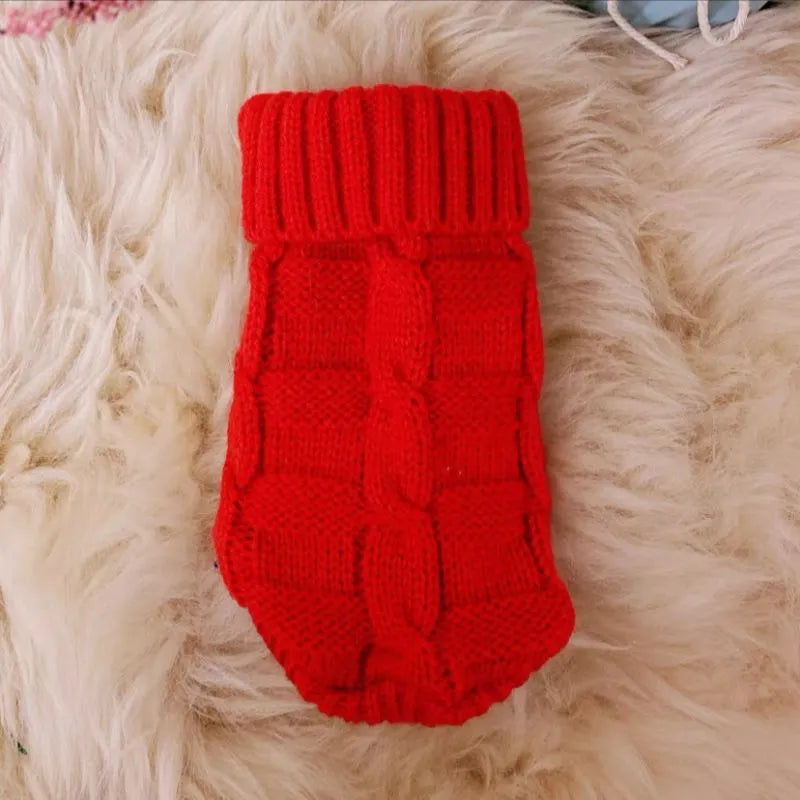 Cat wearing a knitted sweater in a bright colour, showing the pullover style for autumn winter pet clothing