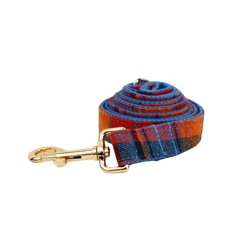 Blue background velvet plaid dog collar and matching hand holding leash on a white surface.