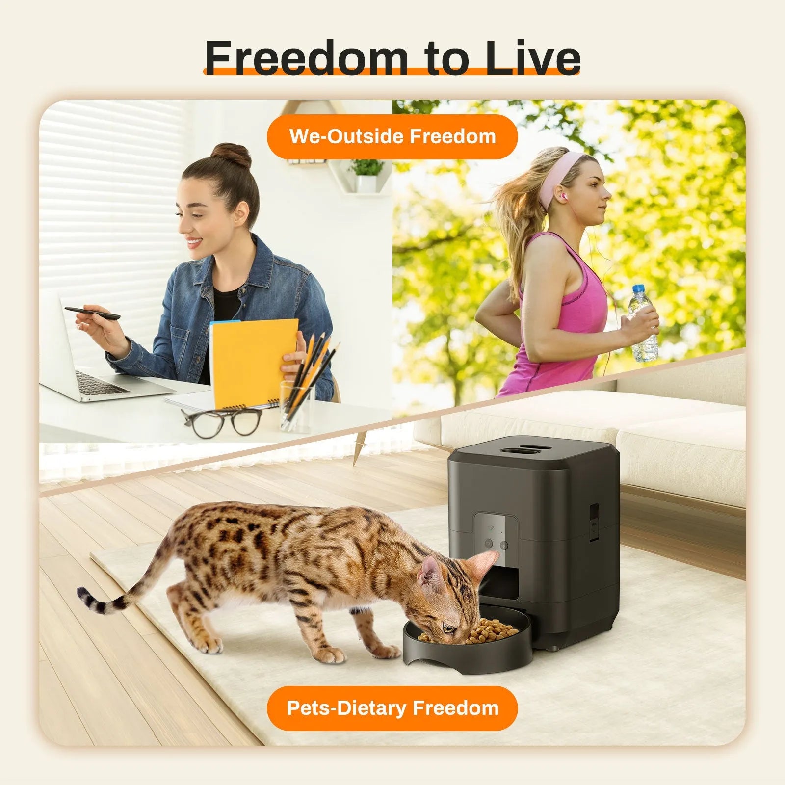 Automatic pet feeder for cats with WiFi, video and button control options in white or black colours
