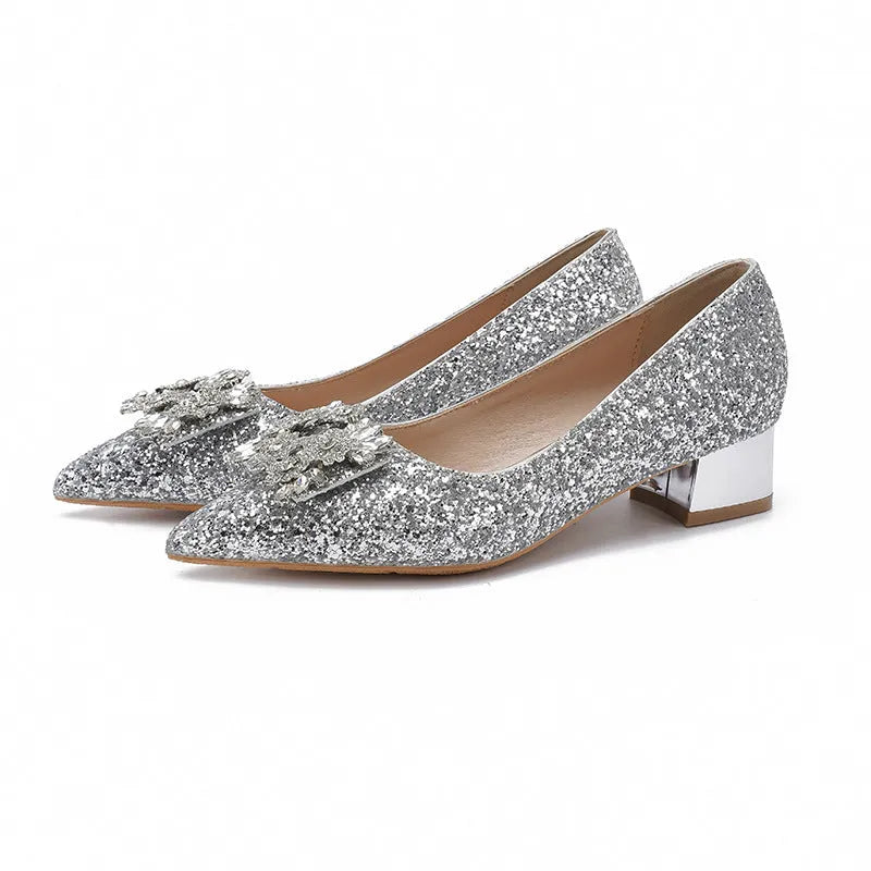 Silver French style mid heel pumps with square buckle, pointed toe, and short stout heel on a clean background
