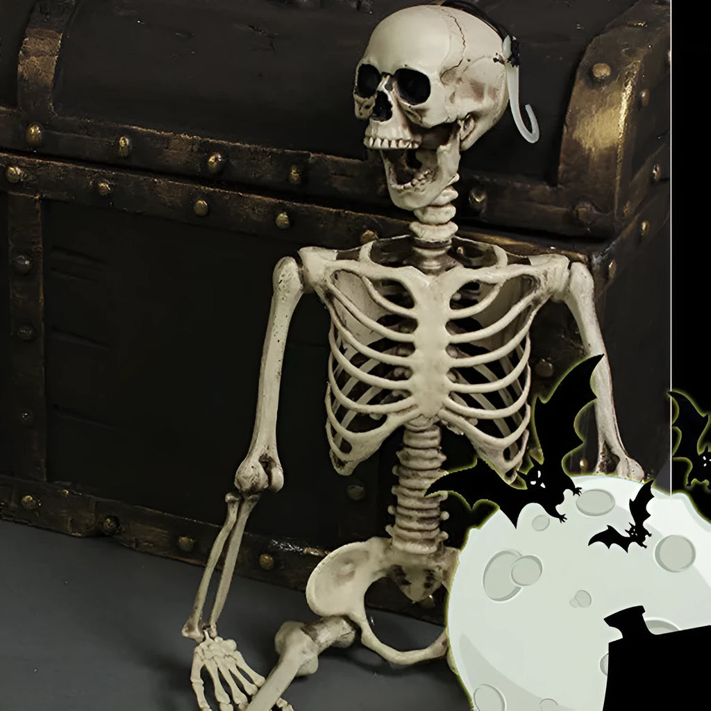 170cm tall plastic skeleton prop with articulated joints and detachable skull displayed in anatomical position
