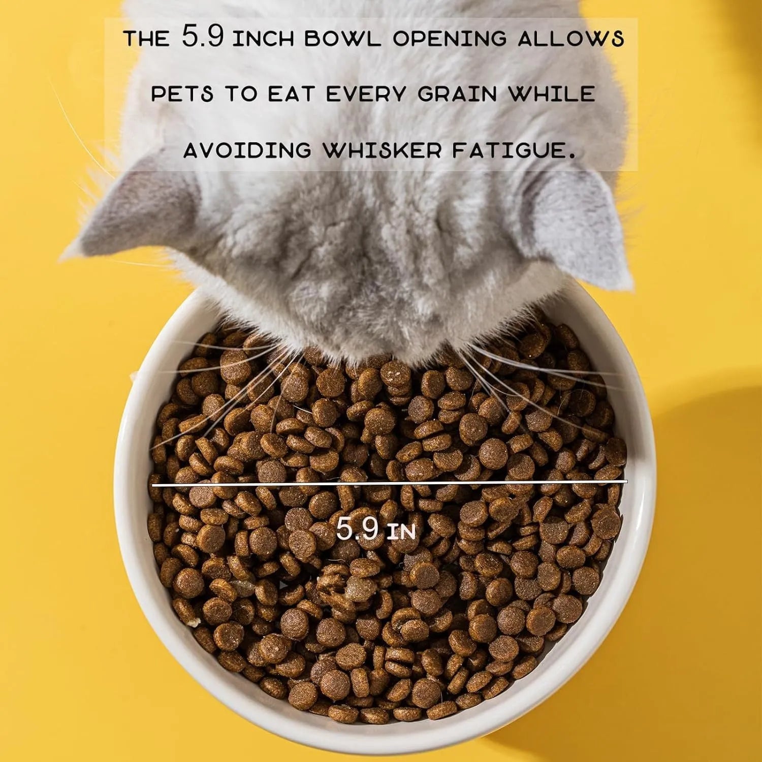 Raised ceramic pet bowl in animal design, showing wide opening for whisker comfort