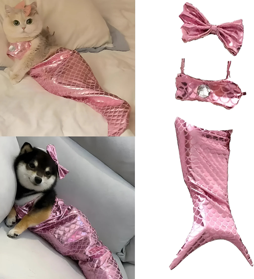 Blue pet mermaid costume on small cat with fish tail and decorative bow