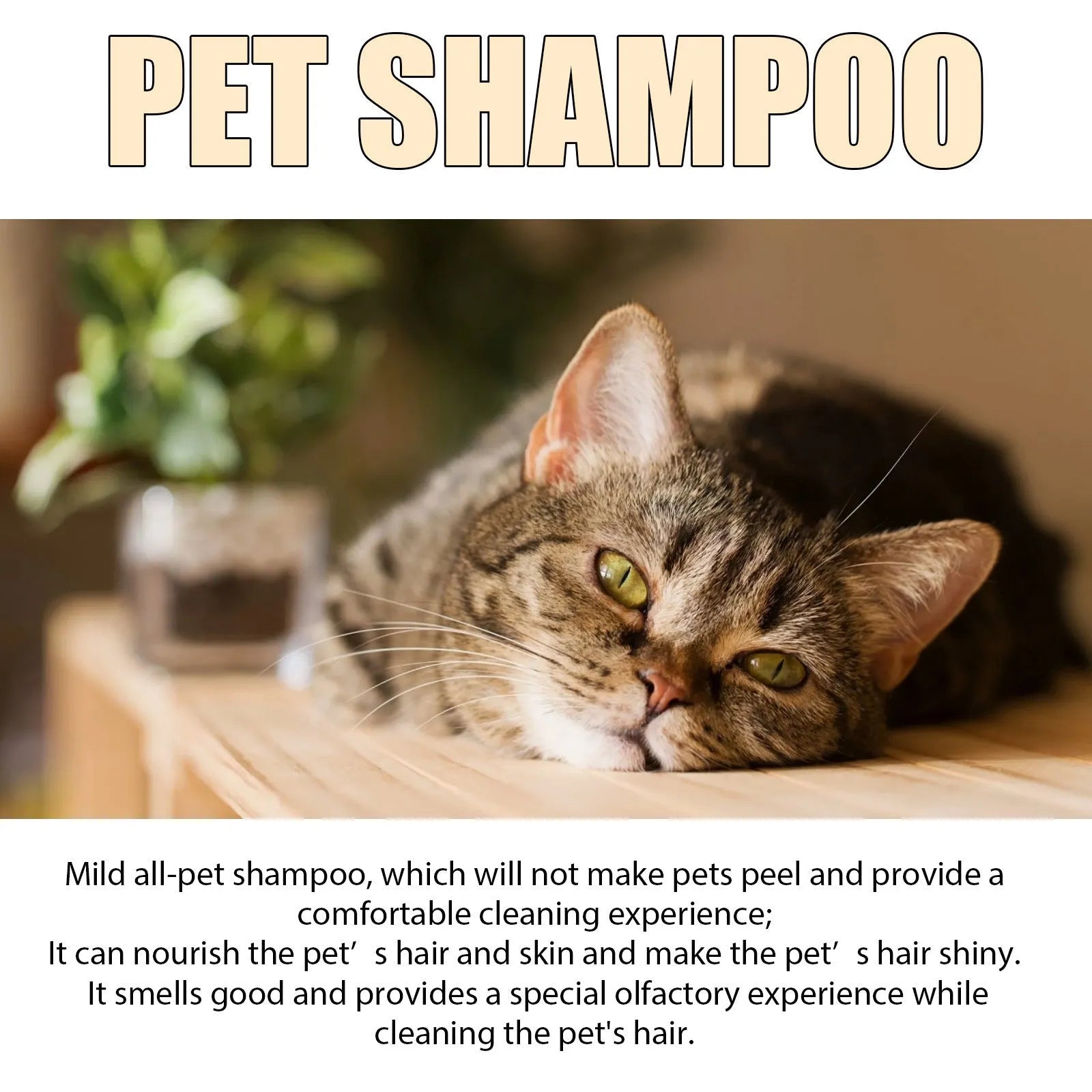 Bottle of mild pet shampoo for dogs and cats in 100ml or 300ml size
