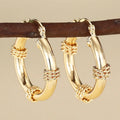 Geometric women's earrings with ring and line design in golden colours