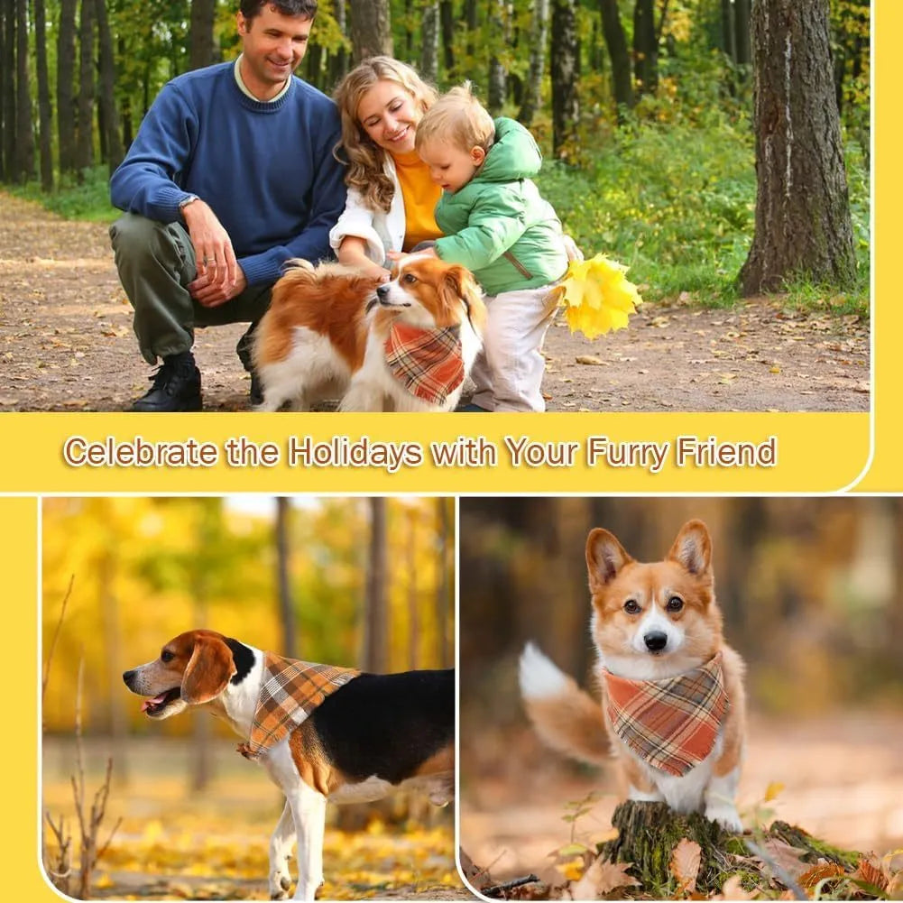 Plaid triangle dog bandana with tassels in autumn colours on a dog's neck.