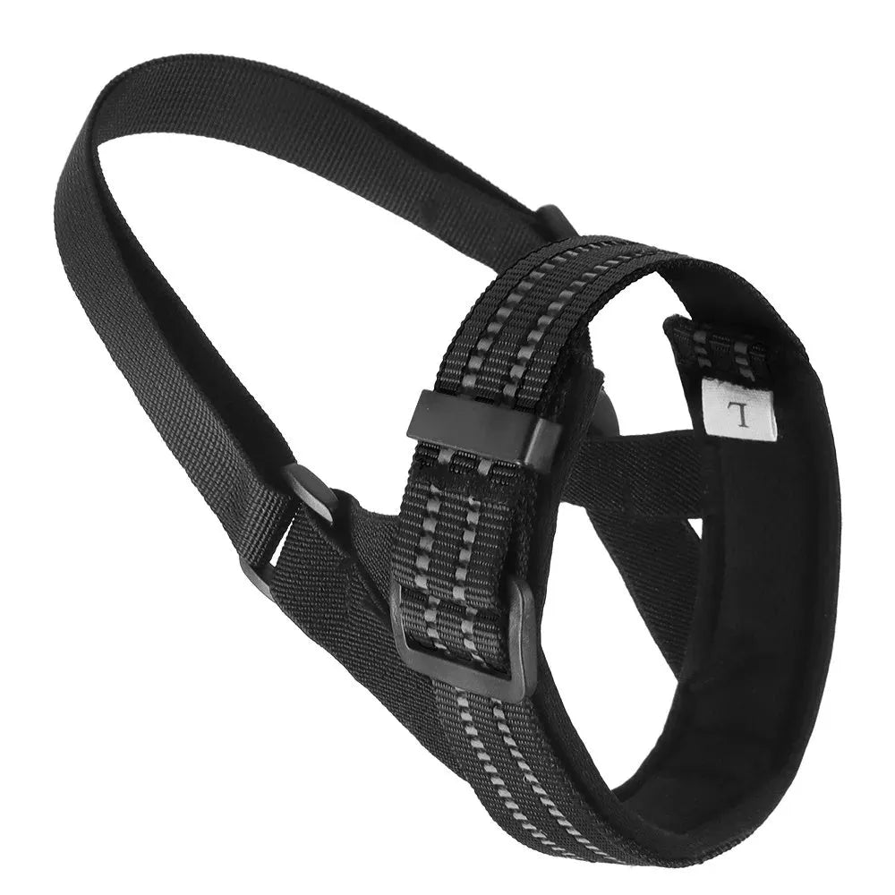 Adjustable reflective dog muzzle in blue, shown on a large dog model, with straps and nose-guard visible.