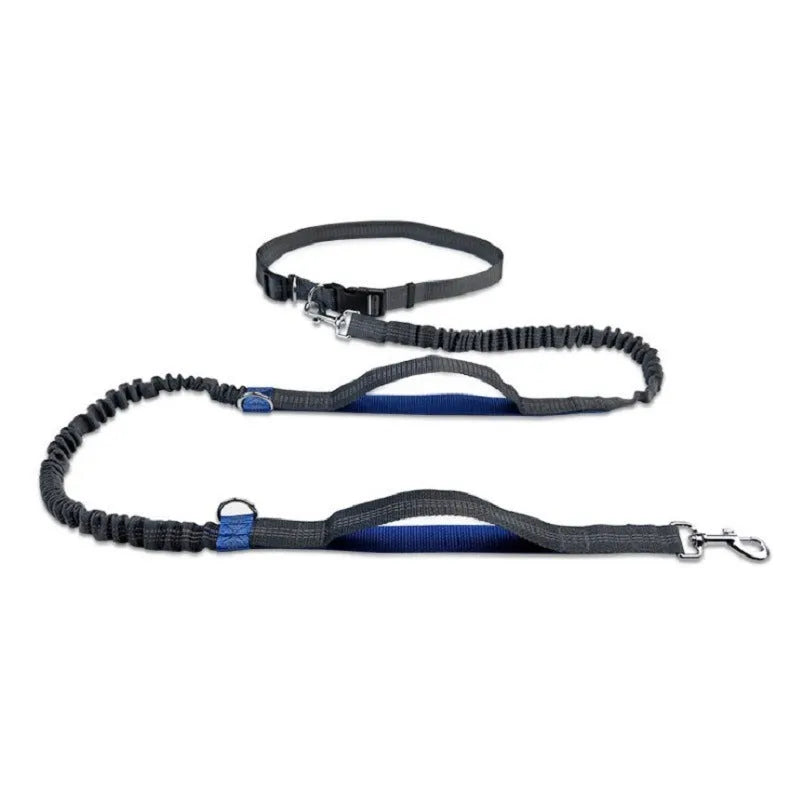 Adjustable dog running belt with retractable leash in blue orange or green colours