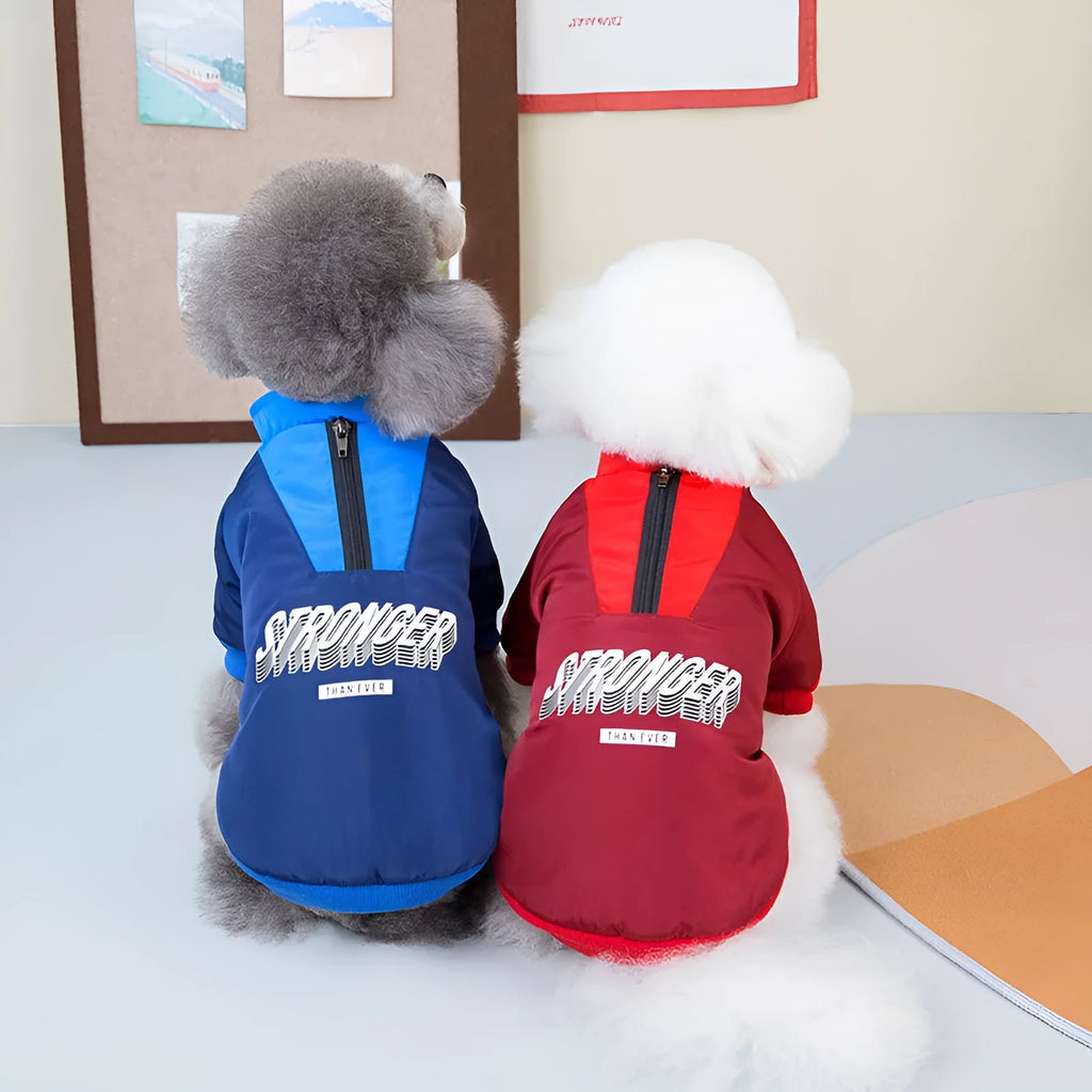 Red cotton dog coat with V-shaped splicing design on a dog