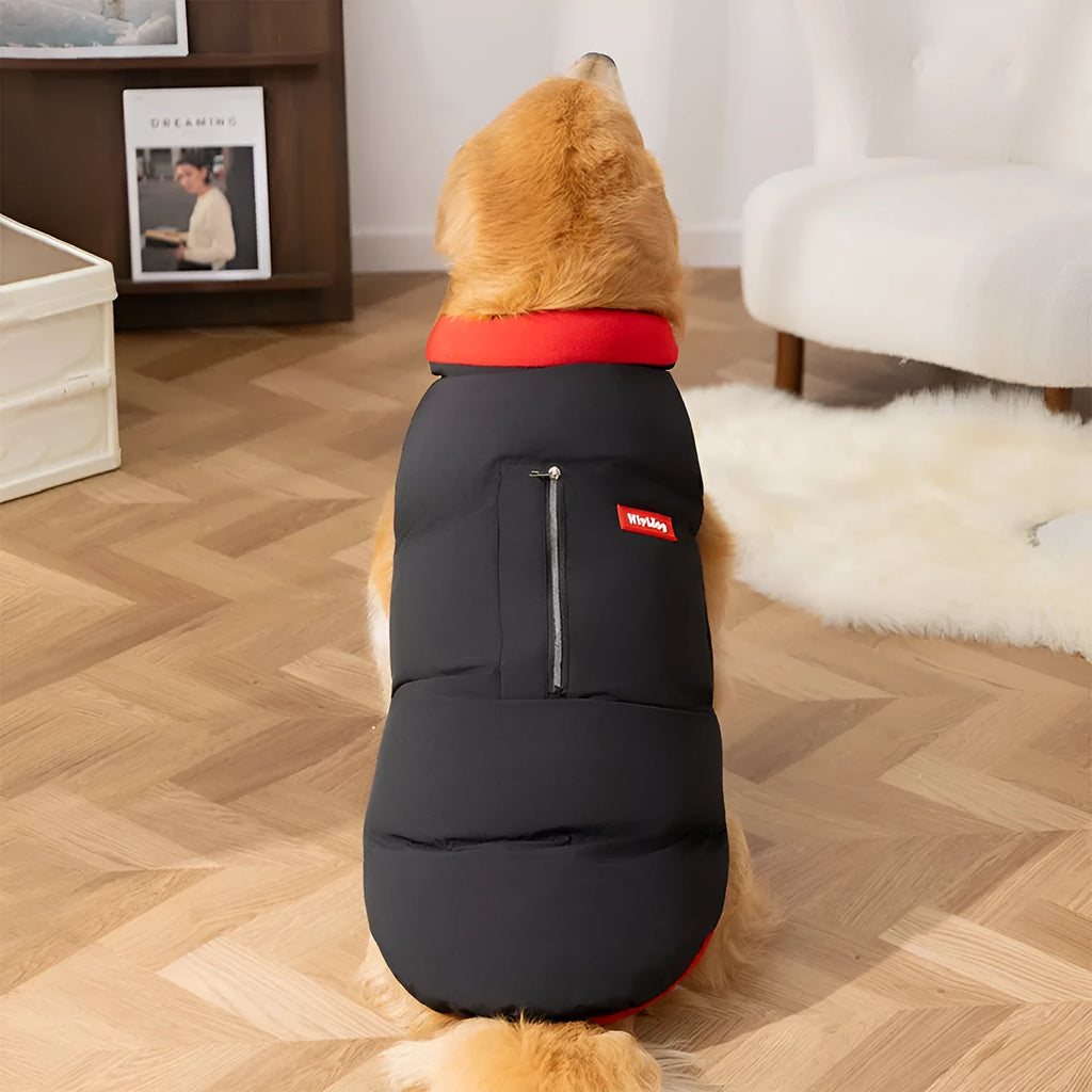 Thick cotton-padded dog vest for large breeds with zipper pocket and red border trim on a Golden Retriever