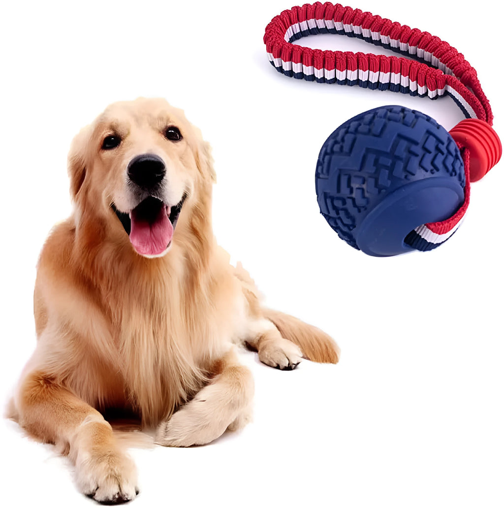 Blue and red natural rubber dog ball attached to a rope for tug-of-war and teeth cleaning.